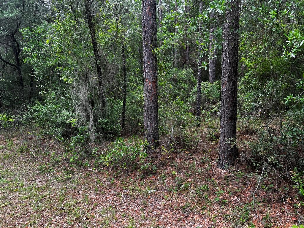 Property for sale at TBD SW 186TH CT., DUNNELLON, FL, 34432