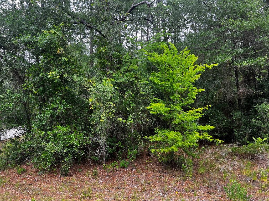 Property for sale at TBD SW 186TH CT., DUNNELLON, FL, 34432