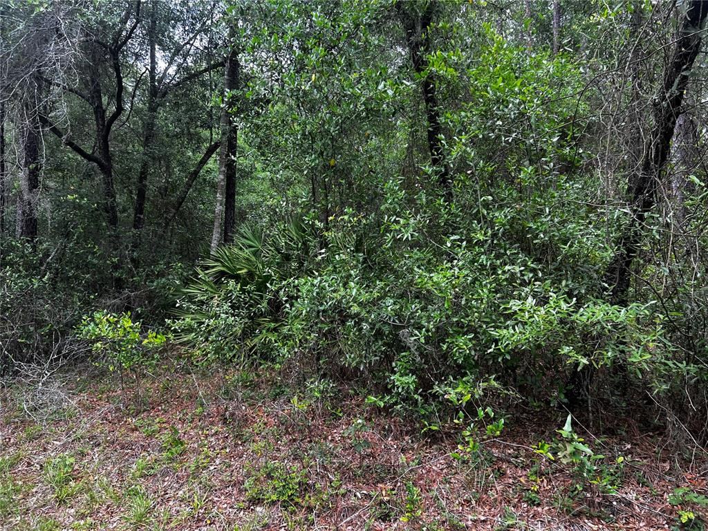 Property for sale at TBD SW 186TH CT., DUNNELLON, FL, 34432