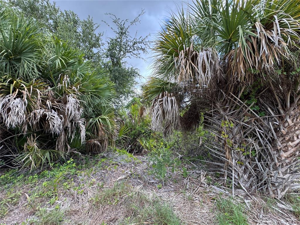 Property for sale at 13224 KITCHENER AVENUE, PORT CHARLOTTE, FL, 33981