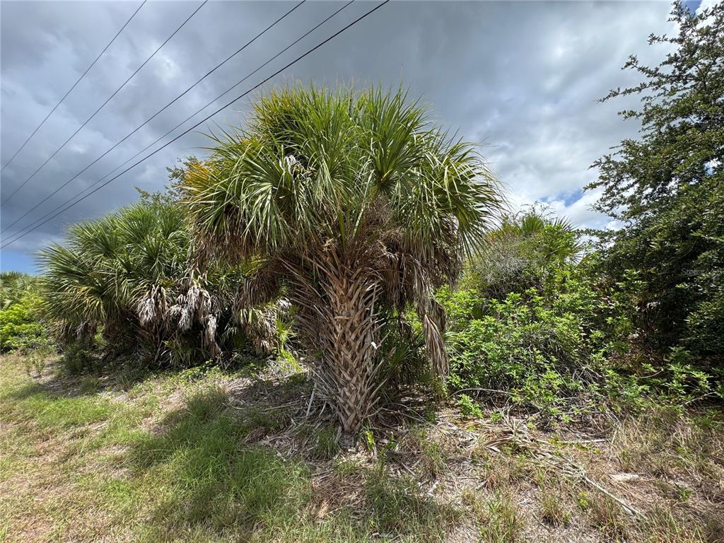 Property for sale at 13224 KITCHENER AVENUE, PORT CHARLOTTE, FL, 33981