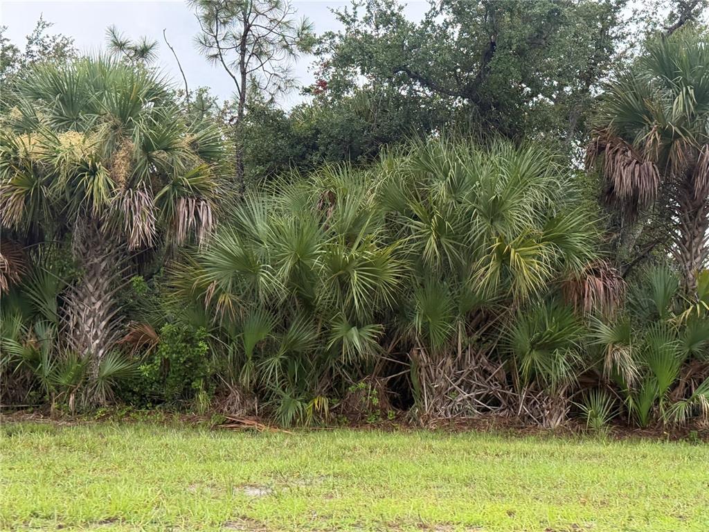 Property for sale at 13241 APPLETON BOULEVARD, PORT CHARLOTTE, FL, 33981