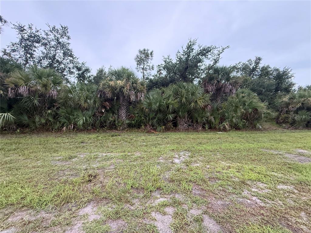 Property for sale at 13241 APPLETON BOULEVARD, PORT CHARLOTTE, FL, 33981