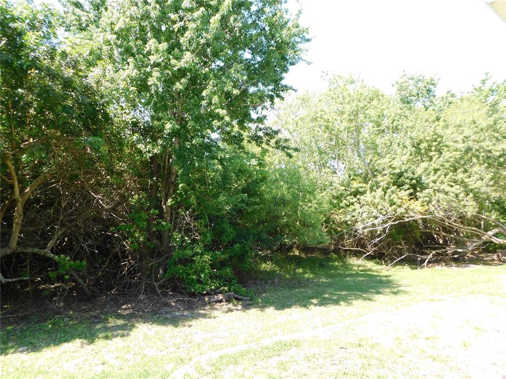 Conservation back yard