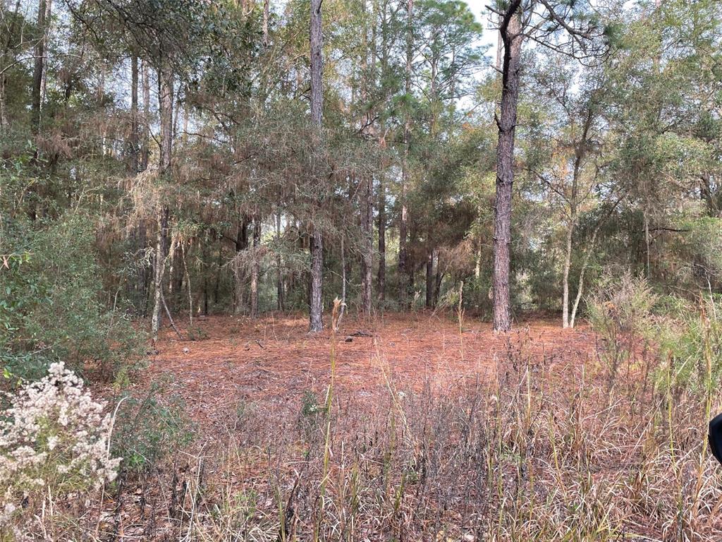 Property for sale at LOT 9 SW 152ND AVENUE, OCALA, FL, 34481