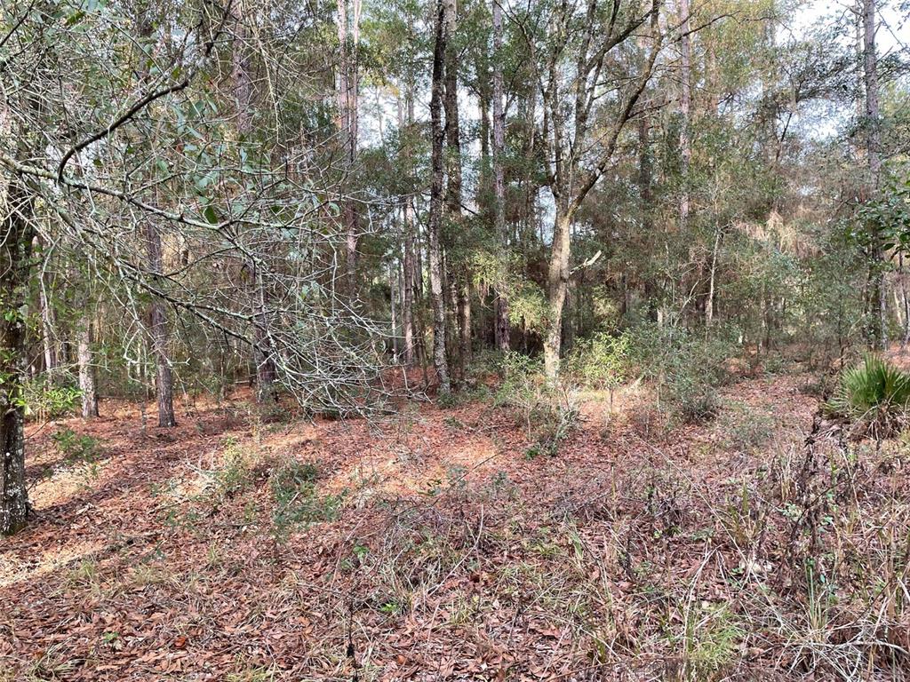Property for sale at LOT 9 SW 152ND AVENUE, OCALA, FL, 34481