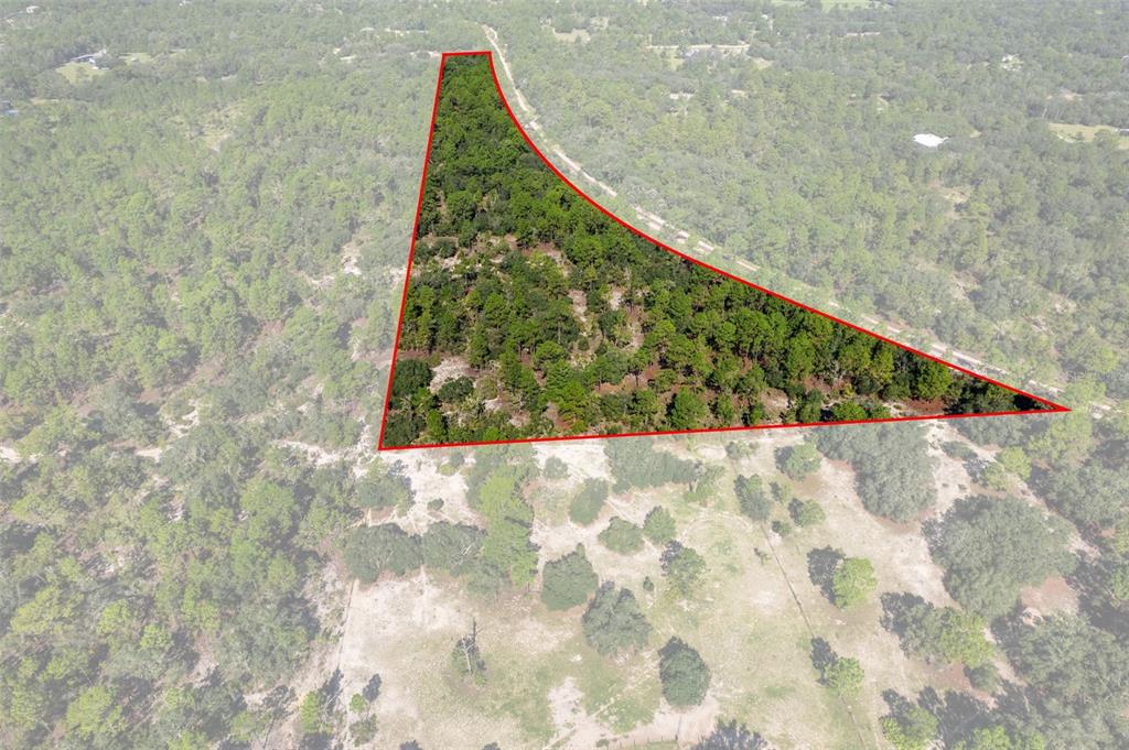 Property for sale at 10806 N STATUE POINT, DUNNELLON, FL, 34433
