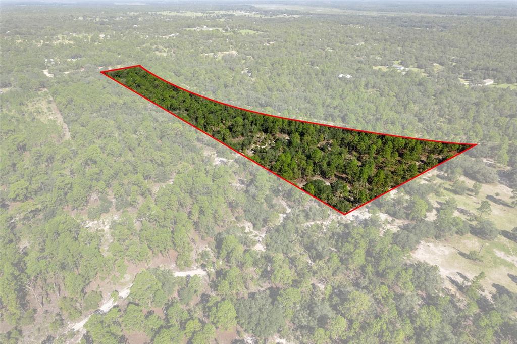 Property for sale at 10806 N STATUE POINT, DUNNELLON, FL, 34433