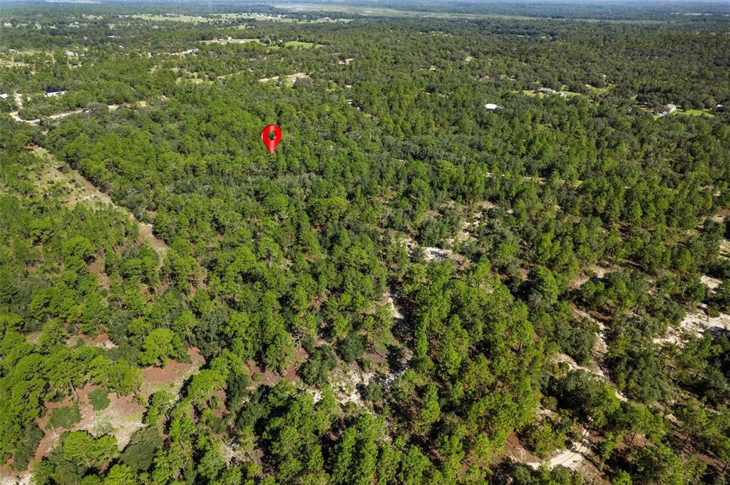Property for sale at 10806 N STATUE POINT, DUNNELLON, FL, 34433