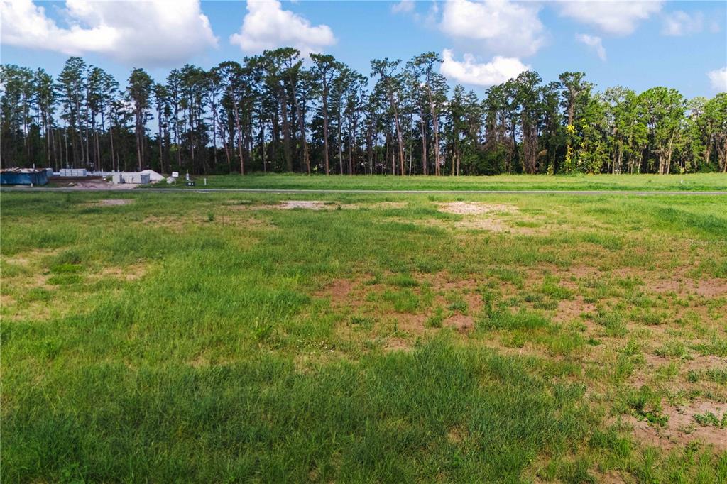 Property for sale at 19319 DIMPLE DRIVE, ODESSA, FL, 33556