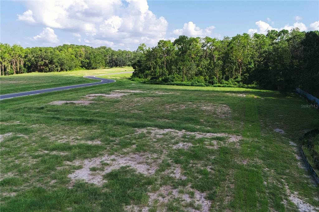 Property for sale at 19319 DIMPLE DRIVE, ODESSA, FL, 33556