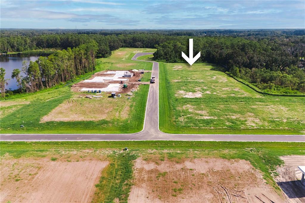 Property for sale at 19319 DIMPLE DRIVE, ODESSA, FL, 33556