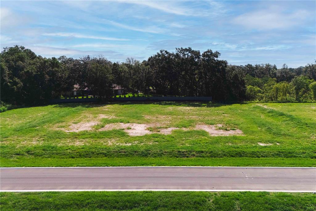 Property for sale at 19319 DIMPLE DRIVE, ODESSA, FL, 33556