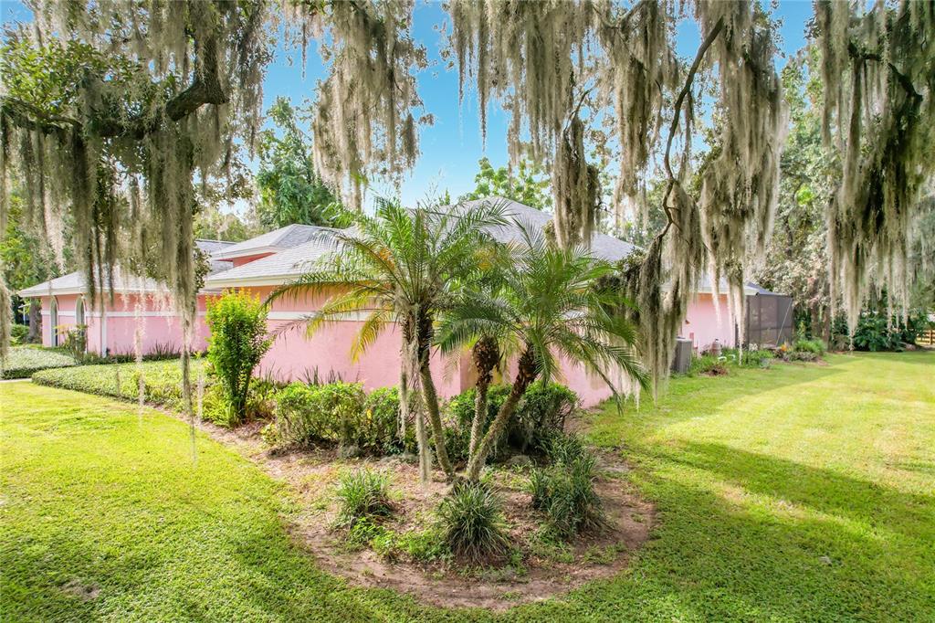 Side yard view