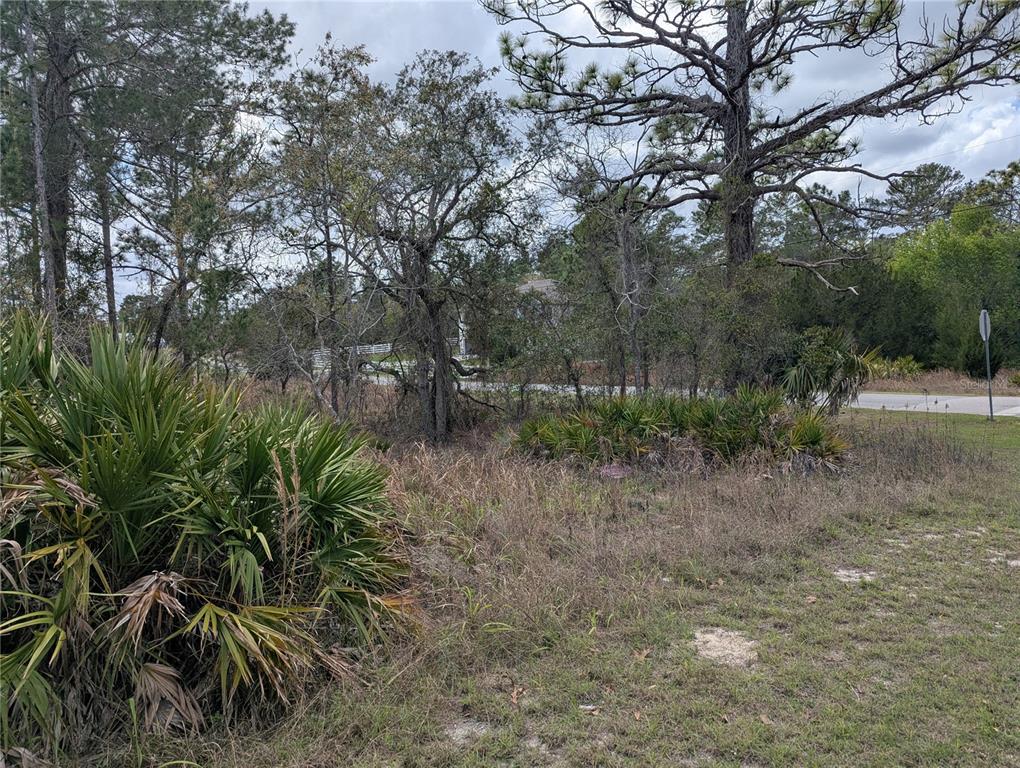 Property for sale at 0 MAZETTE ROAD, WEEKI WACHEE, FL, 34613