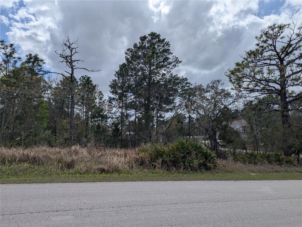 Property for sale at 0 MAZETTE ROAD, WEEKI WACHEE, FL, 34613