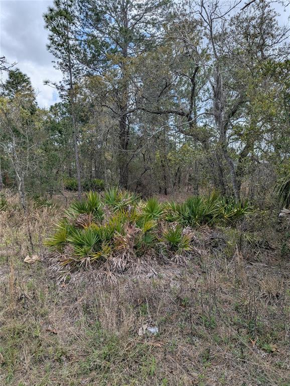 Property for sale at 0 MAZETTE ROAD, WEEKI WACHEE, FL, 34613