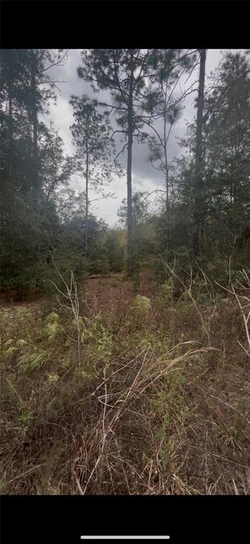 Property for sale at 0 SW 21 PLACE, OCALA, FL, 34481