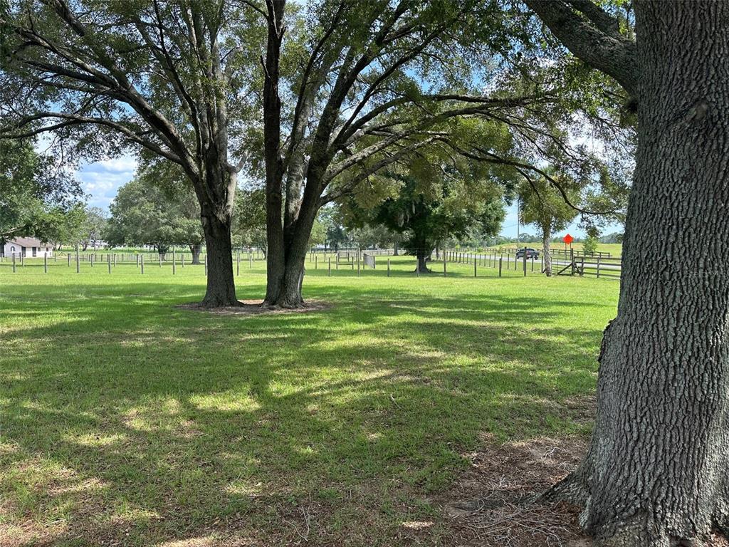 Property for sale at 905 NW 80TH AVENUE, OCALA, FL, 34482
