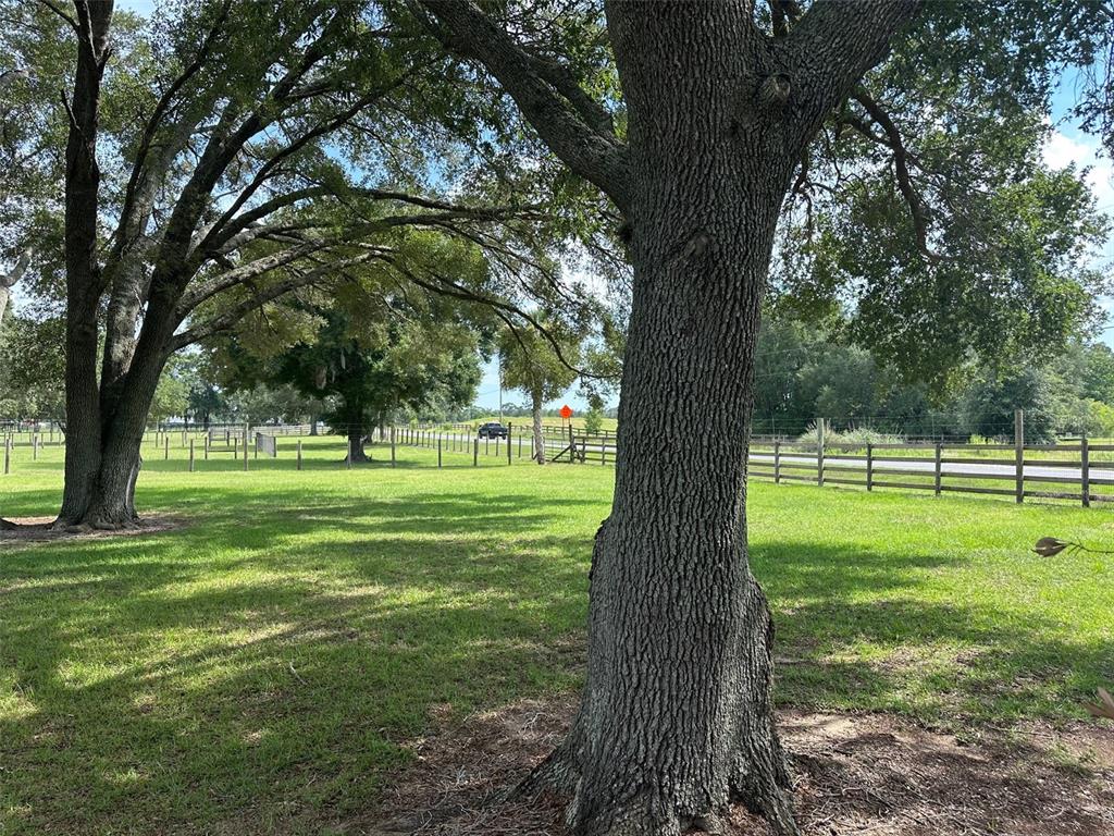 Property for sale at 905 NW 80TH AVENUE, OCALA, FL, 34482