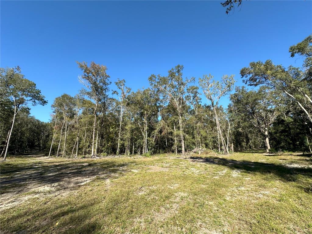 Property for sale at 55ac W HWY 318, REDDICK, FL, 32686