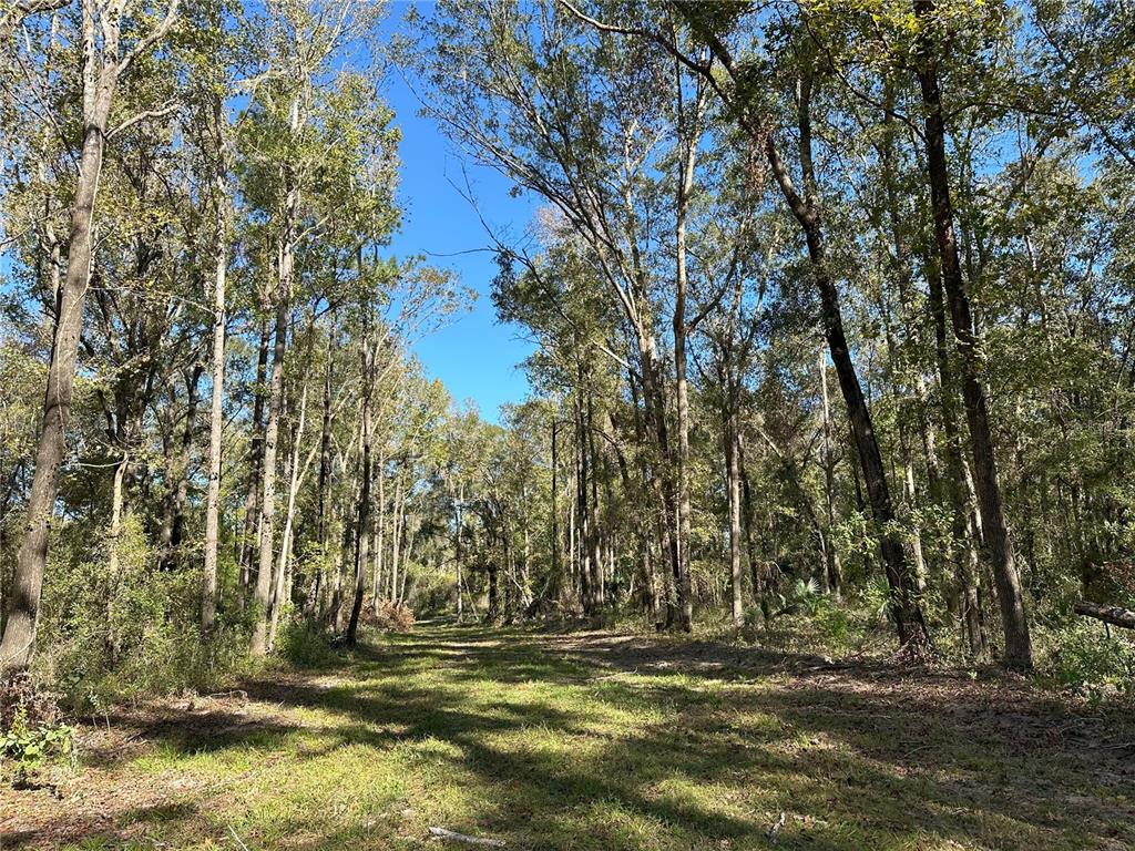 Property for sale at 55ac W HWY 318, REDDICK, FL, 32686