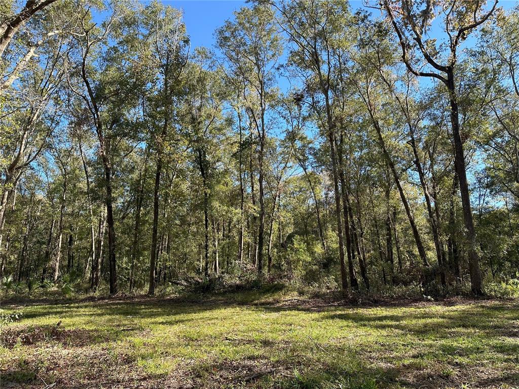 Property for sale at 55ac W HWY 318, REDDICK, FL, 32686