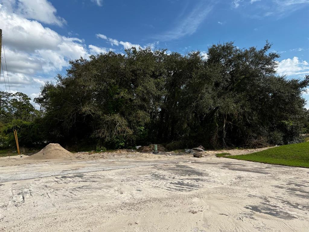 Property for sale at 410 ASHBURY WAY, KISSIMMEE, FL, 34759