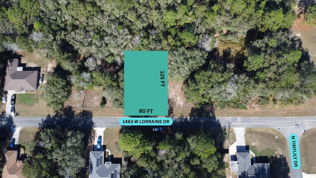 Property for sale at 1463 W LORRAINE DRIVE, CITRUS SPRINGS, FL, 34434