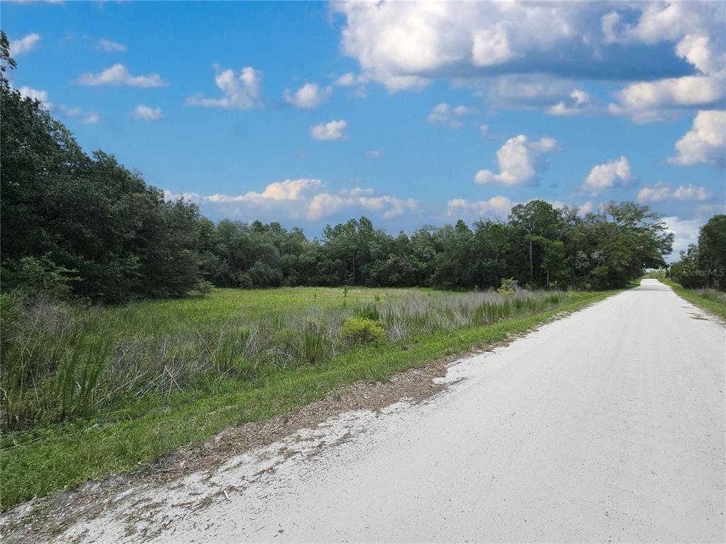 Property for sale at 11751 SE 57TH STREET, MORRISTON, FL, 32668