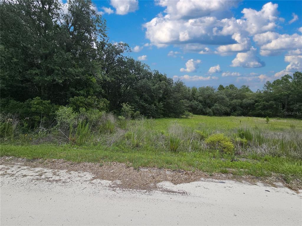 Property for sale at 11751 SE 57TH STREET, MORRISTON, FL, 32668