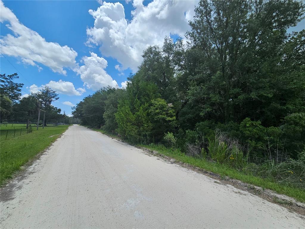 Property for sale at 11751 SE 57TH STREET, MORRISTON, FL, 32668