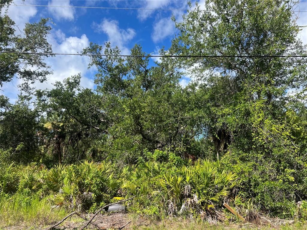 Property for sale at 163 HARDEE WAY, ROTONDA WEST, FL, 33947