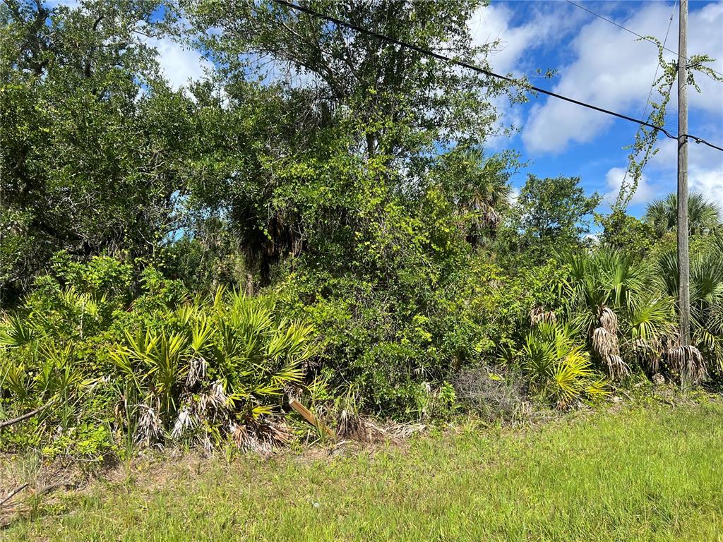Property for sale at 163 HARDEE WAY, ROTONDA WEST, FL, 33947
