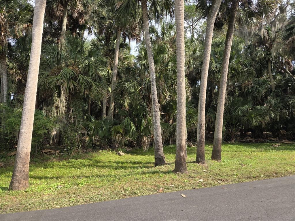 Property for sale at 447 WARRIOR TRAIL, DELTONA, FL, 32725