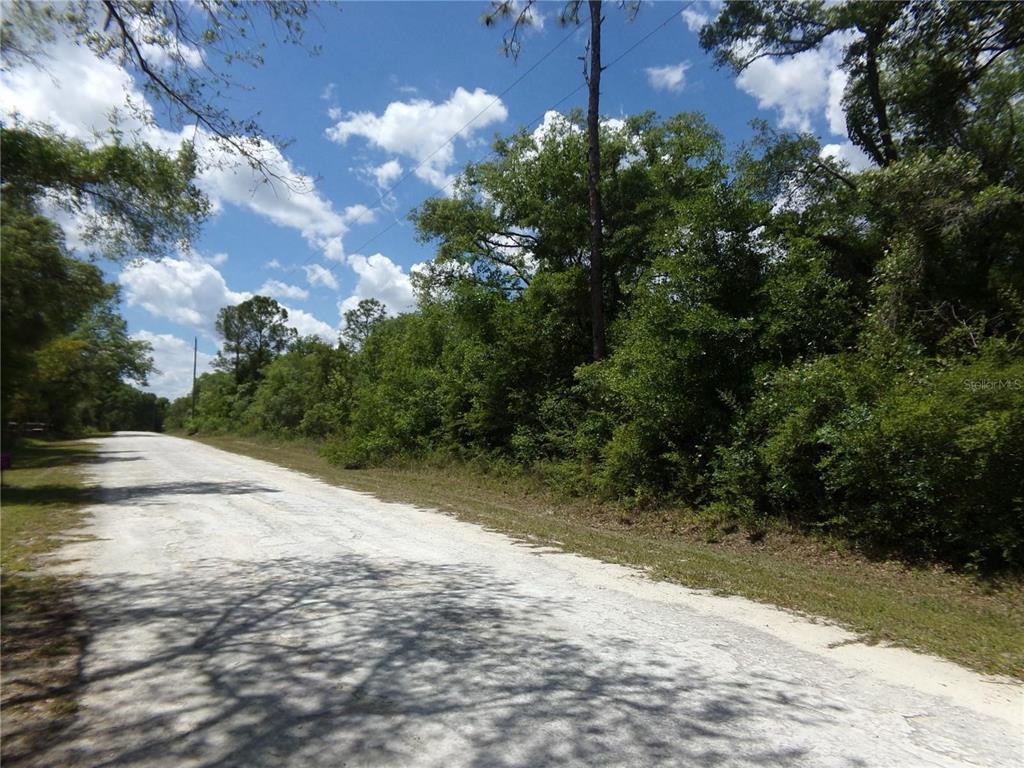 Property for sale at KNOXVILLE DR, WEBSTER, FL, 33597