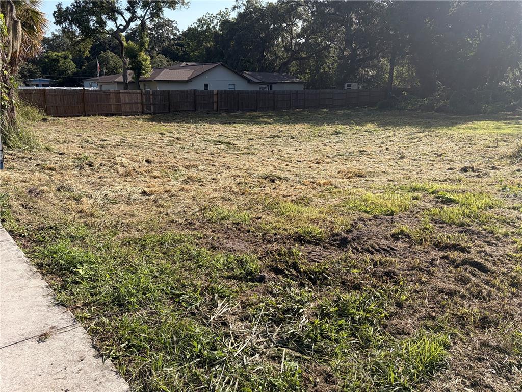 view from the sidewalk on the west side of the property after it was just mowed