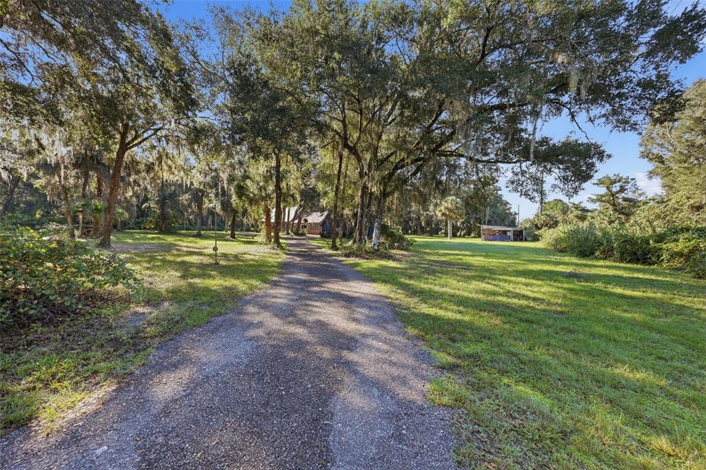 DRIVEWAY - FRONT YARD
