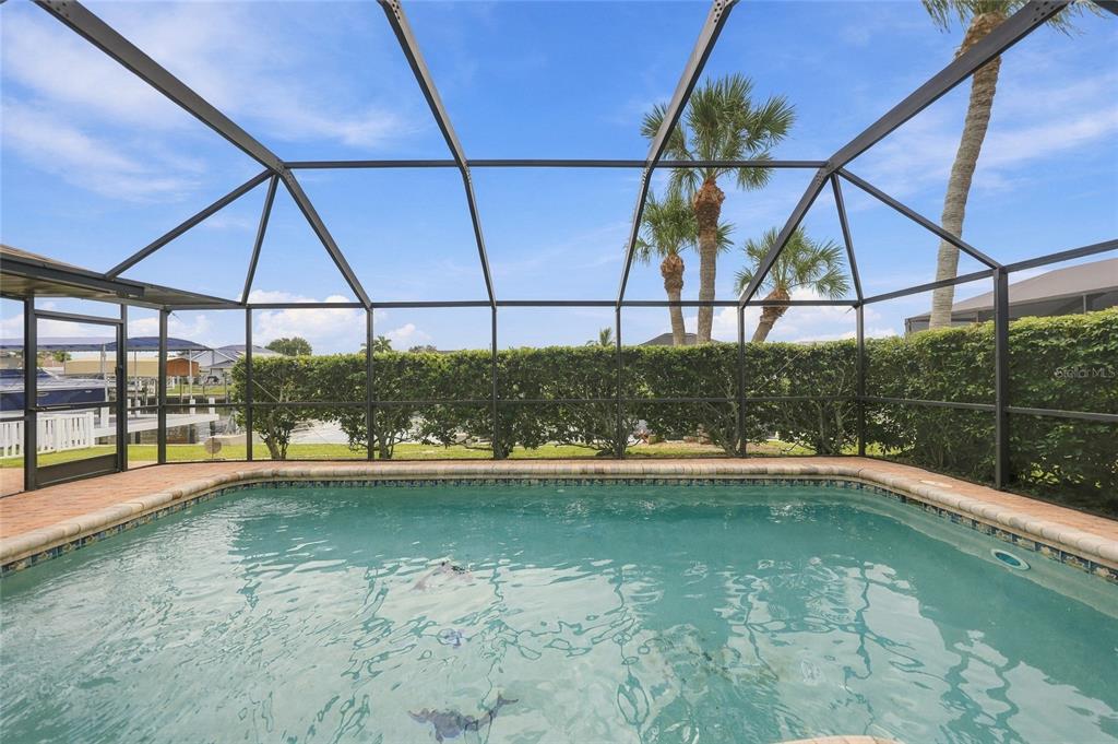 Large pool