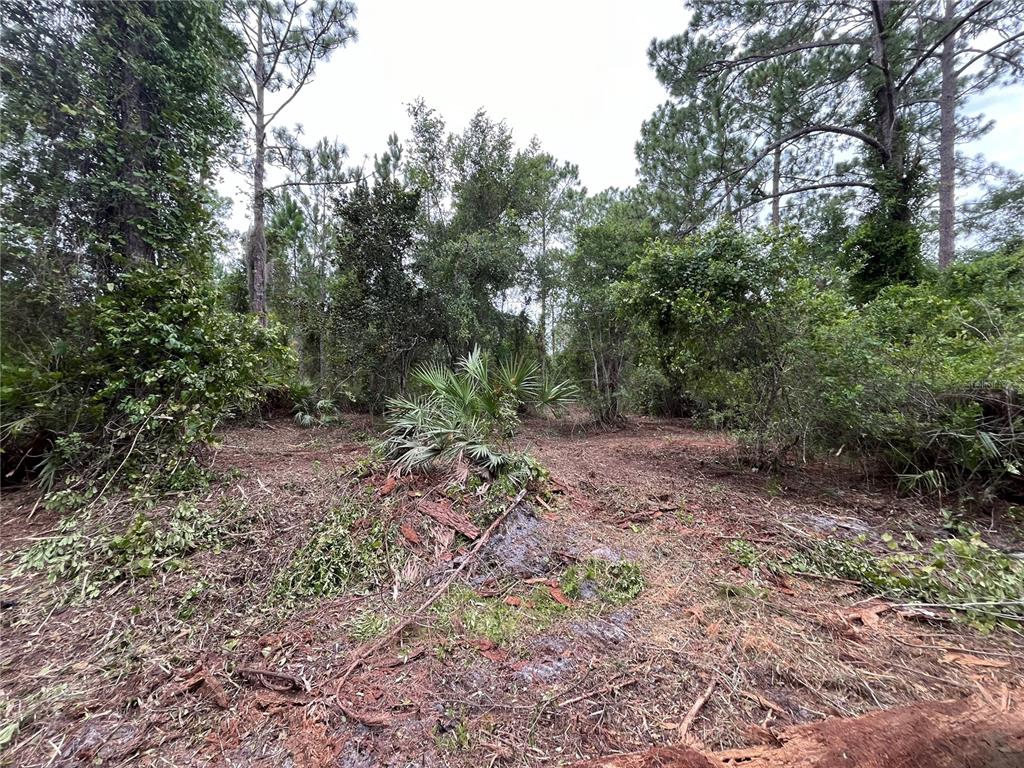Property for sale at 147 ROEBUCK STREET, GEORGETOWN, FL, 32139