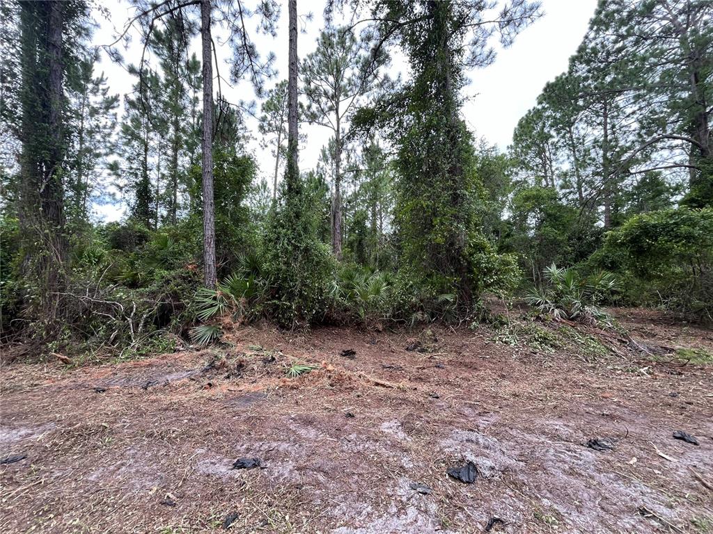 Property for sale at 147 ROEBUCK STREET, GEORGETOWN, FL, 32139