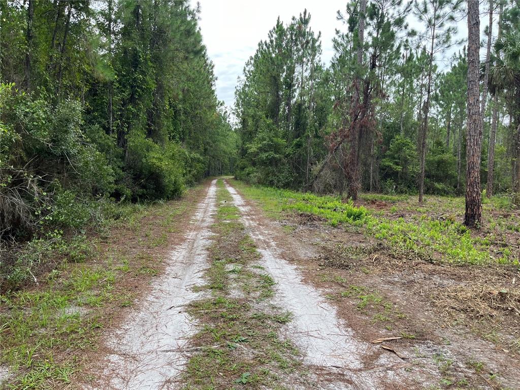 Property for sale at 147 ROEBUCK STREET, GEORGETOWN, FL, 32139