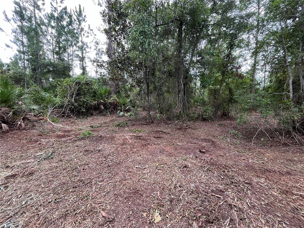 Property for sale at 147 ROEBUCK STREET, GEORGETOWN, FL, 32139