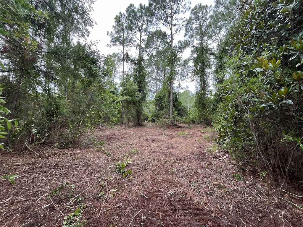 Property for sale at 147 ROEBUCK STREET, GEORGETOWN, FL, 32139
