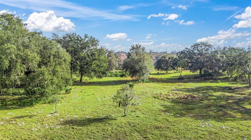 Property for sale at TRACT 1 - CR 221, WILDWOOD, FL, 34785