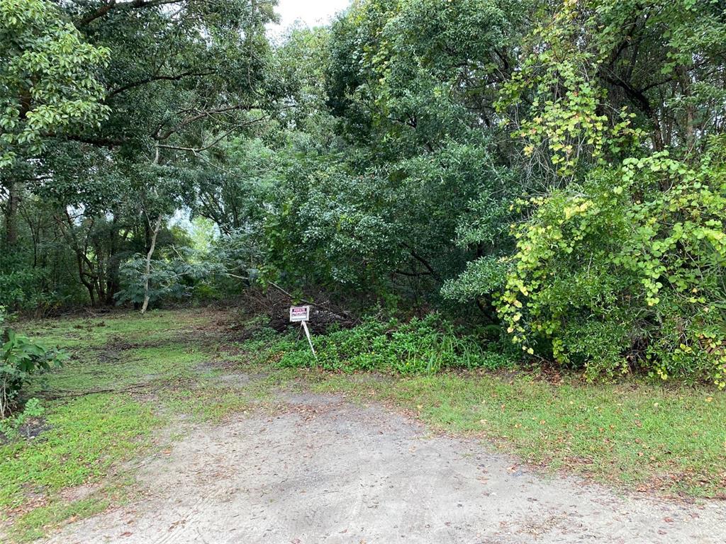 Property for sale at N WARDELL STREET, MOUNT DORA, FL, 32757