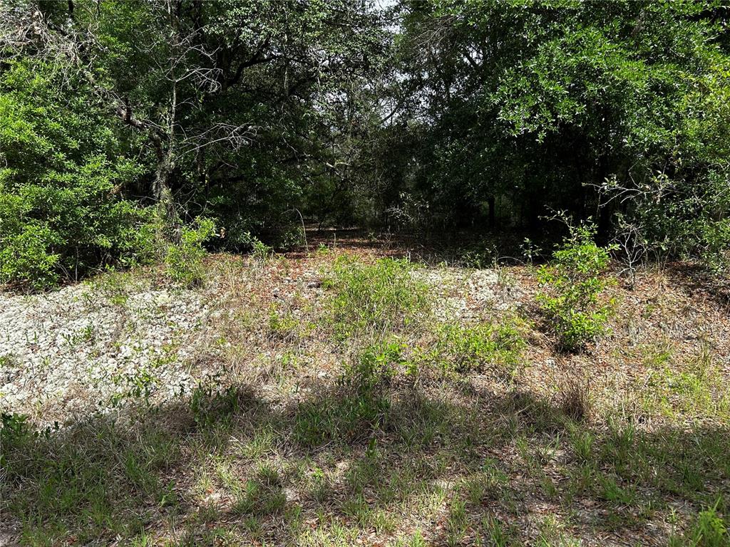 Property for sale at TBD UPLANDS AVENUE, DUNNELLON, FL, 34431
