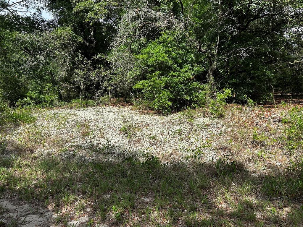 Property for sale at TBD UPLANDS AVENUE, DUNNELLON, FL, 34431