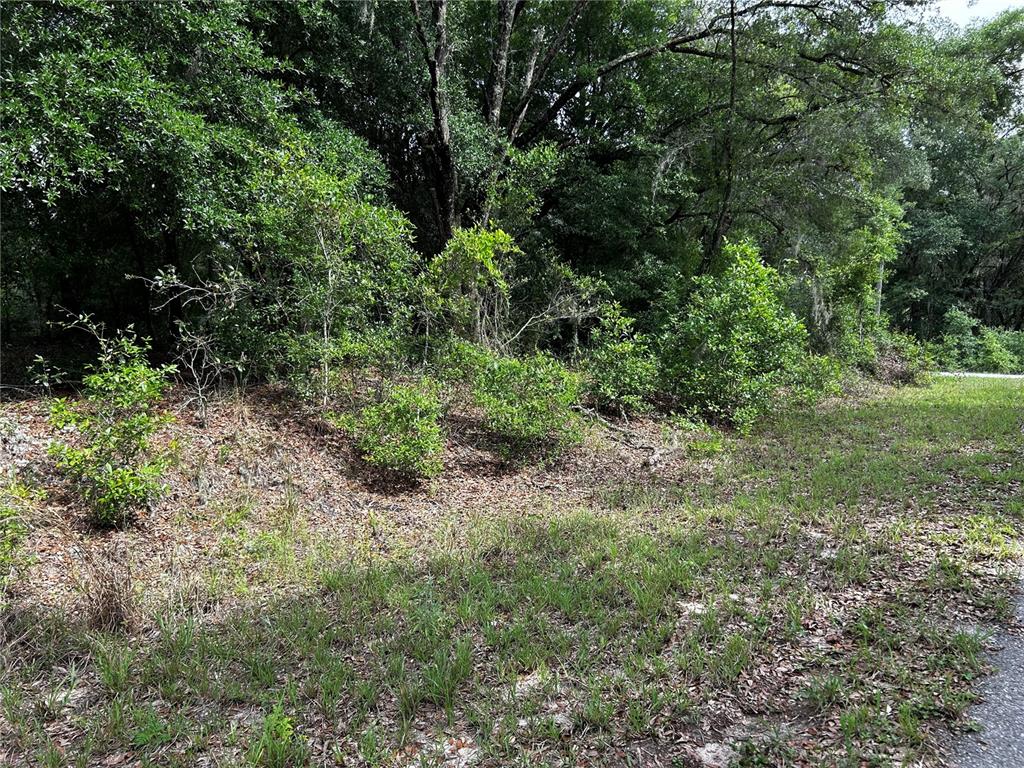 Property for sale at TBD UPLANDS AVENUE, DUNNELLON, FL, 34431