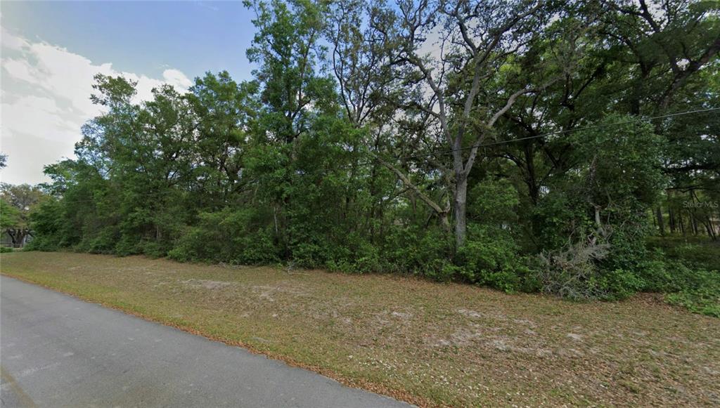 Property for sale at TBD SE 59TH STREET, OCKLAWAHA, FL, 32179